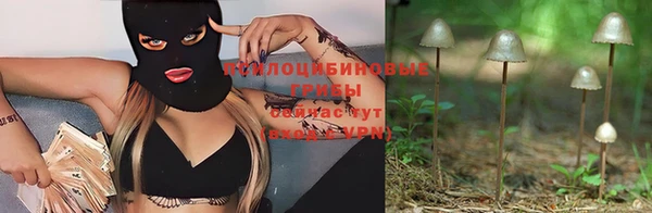 гидра Алексин