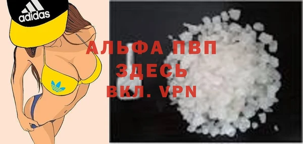 гидра Алексин