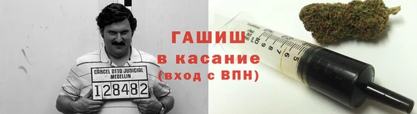 гидра Алексин