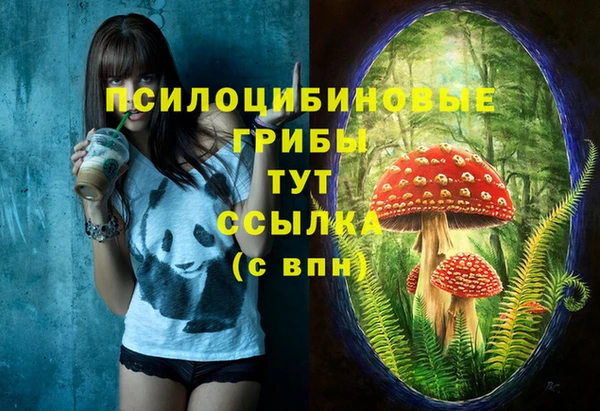 кокс Алексеевка