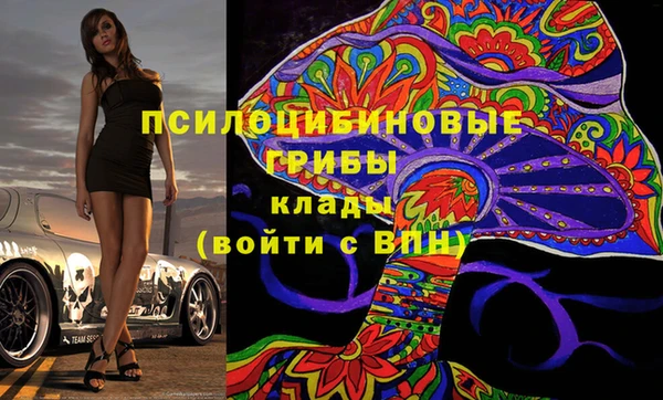 гидра Алексин