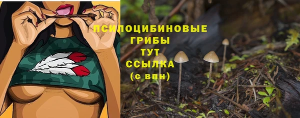 гидра Алексин