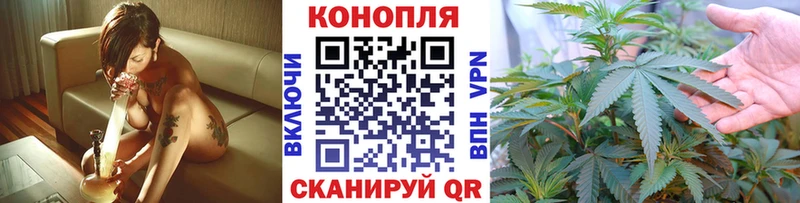 Конопля планчик  мега ссылка  Томмот  купить  цена 